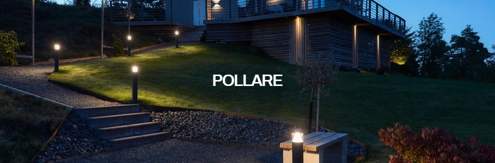 Pollare