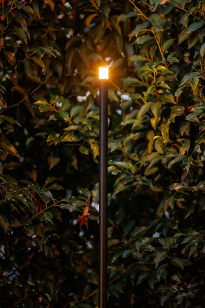 Erba 12V (Uppsättning om 3)